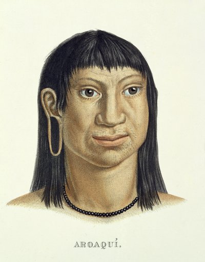 Einheimischer Mann des Aroaqui-Stammes, aus Atlas einer Reise in Brasilien von Johann Baptist von Spix (1781-1826) und Karl Friedrich Philipp Martius (1794-1868), veröffentlicht ca. 1835-50 von German School