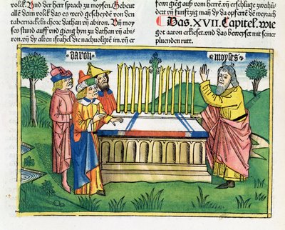 Numeri 17:1-11 Aarons Stab blüht auf dem Altar, aus der Nürnberger Bibel (Biblia Sacra Germanaica) von German School