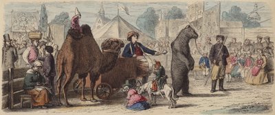 Tiertruppe in Deutschland von German School