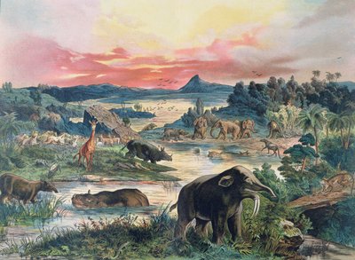 Urgeschichte - Tertiär - Rekonstruktion der natürlichen Umgebung in Europa und einiger Tiere dieser Zeit, 1886 von German School