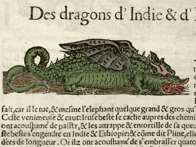 Darstellung eines Drachens aus Indien. Xylographie aus Sebastien Munsters Universal Cosmography. Bale von German School