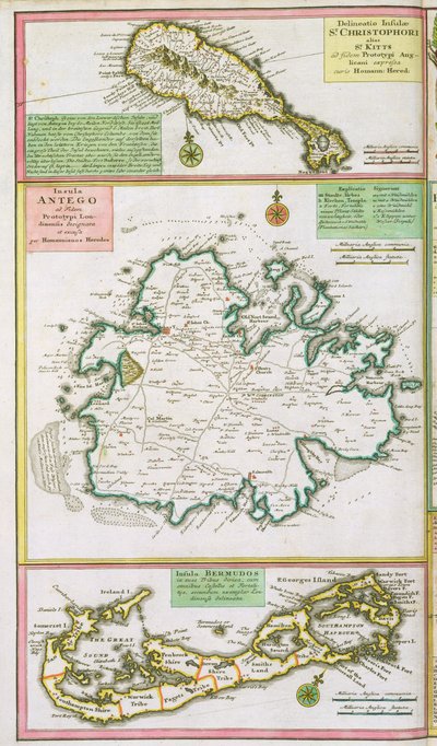 St. Kitts, Antigua und Bermuda, Detail aus einer Karte der englischen Kolonien in der Karibik, veröffentlicht von Homanns Erben, Nürnberg, ca. 1750 von German School