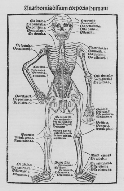 Das Buch der Chirurgie von Hieronymus Brunschwig von German School