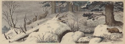 Winterlandschaft in Kanada von German School