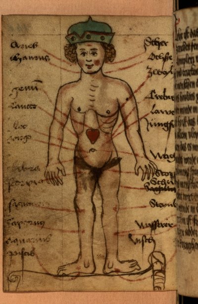 Zodiak-Diagramm, das die Position des Herzens zeigt, aus einer Sammlung von Gebeten und astrologischen Figuren von German School