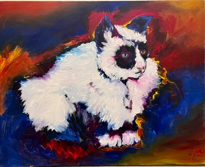 Bungee die Katze von Gerrit Greve