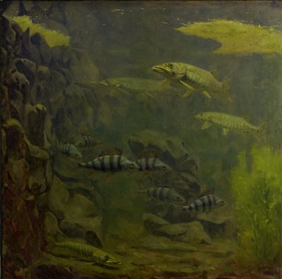 Hecht und Barsch in einem Aquarium von Gerrit Willem Dijsselhof