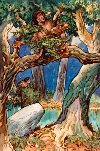 Vor langer, langer Zeit: Mensch im Wald und Sumpf von Gertrude Hamilton