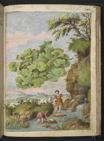Flechte und zwei Frauen, die Kleidung oder Fell in einem Teich waschen, aus "Gemälde der Flora der römischen Staaten" von Gherardo Cibo von Gherardo Cibo