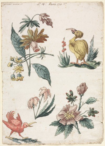 Florale Designs mit zwei Vögeln, 1774 von Giacomo Cavenezia