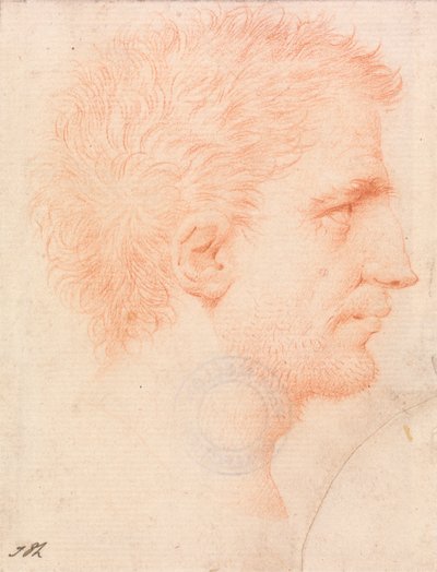Kopf eines Mannes mit Stoppelbart, nach rechts gewandt von Giles Hussey