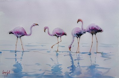 Pinkfarbene Flamingos im Wasser von Giorgio Gosti