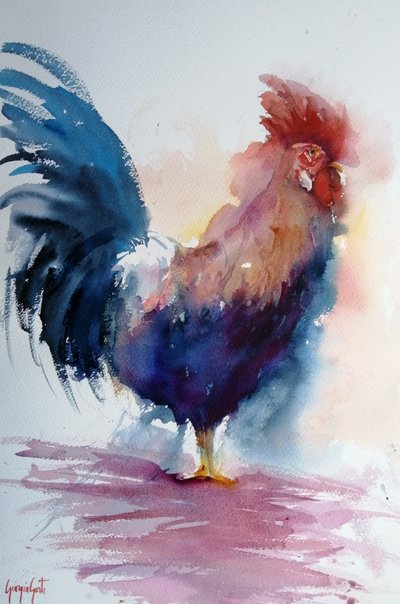 Lebendiger Aquarellhahn von Giorgio Gosti
