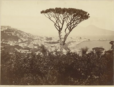 Neapel, Panorama vom Vomero von Giorgio Sommer