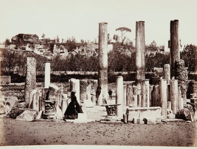 Der Tempel des Serapis in Pozzuoli, Neapel von Giorgio Sommer