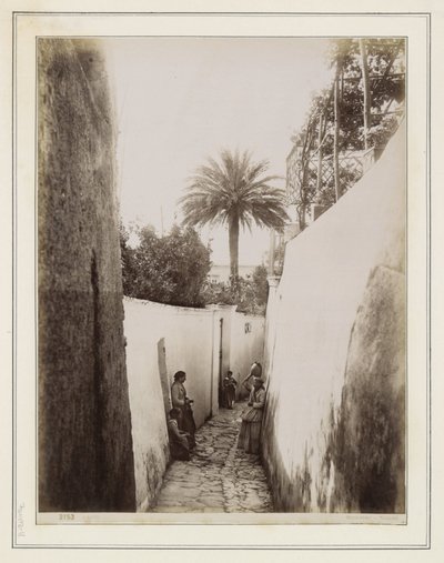 Frauen und Kinder in einer Gasse auf Capri von Giorgio Sommer