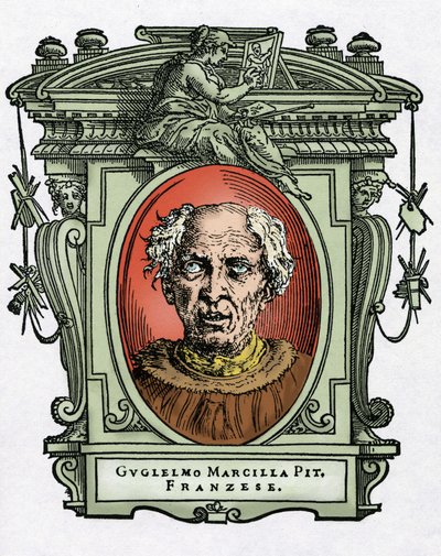 Porträt von William von Marcillat von Giorgio Vasari