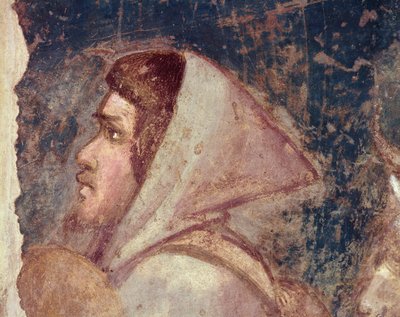 Kopf eines Hirten von Giotto di Bondone