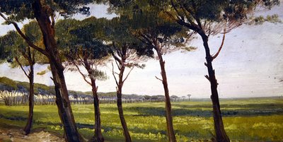 Eine Reihe alter Kiefern von Giovanni Costa