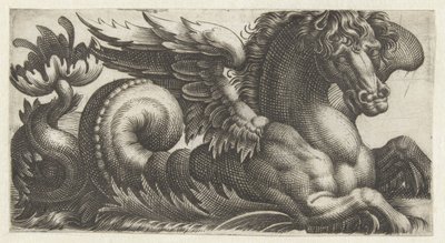 Geflügeltes Seepferdchen mit einem offenen Blatt am Ende seines Schwanzes, aus dem zwei Staubblätter herausragen von Giovanni Andrea Maglioli