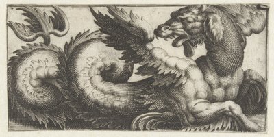 Geflügelter Seehund, der zurückblickt von Giovanni Andrea Maglioli