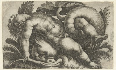 Schlafender Putto auf einem Delfin (Putti auf Meereswesen) von Giovanni Andrea Maglioli