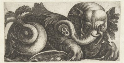 See-Elefant mit Blätterohren von Giovanni Andrea Maglioli