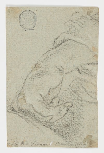 Studie: Eine linke Hand in lehnender Position von Giovanni Andrea Sirani