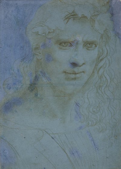 Büste eines jungen Mannes mit Dornenkrone und Weinsprossen, um 1495 von Giovanni Antonio Boltraffio