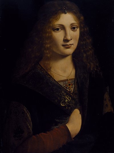 Porträt eines jungen Mannes, möglicherweise Girolamo Casio, ca. 1500 von Giovanni Antonio Boltraffio