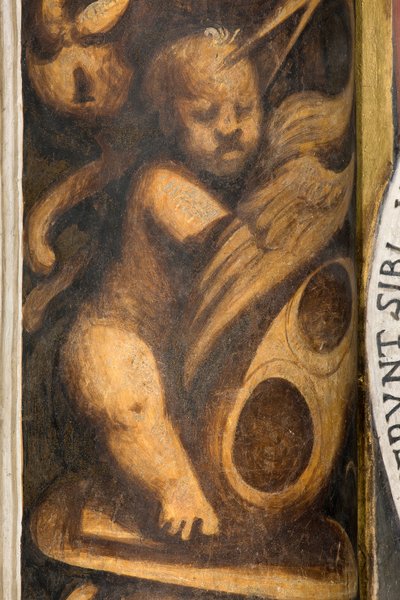 Zentrales Schiff, Lesene oberer Teil über Kapitell erster und zweiter Spann südlich, Putto (Detail) von Giovanni Antonio Pordenone