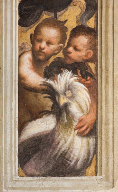 Zentrales Schiff, Lesene oberer Teil über Kapitell erster und zweiter Spann südlich, Puttini (Detail) von Giovanni Antonio Pordenone