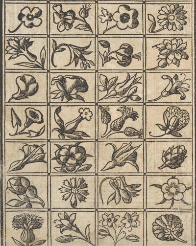 Essempio di recammi, Seite 10 verso, 1530 von Giovanni Antonio Tagliente