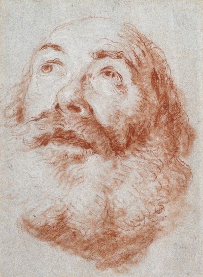 Kopf eines alten Mannes, der nach oben schaut von Giovanni Battista Tiepolo