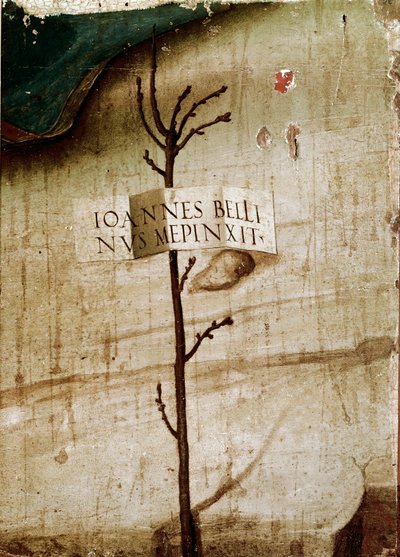Kleiner Baum und Patrone (Detail) von Giovanni Bellini