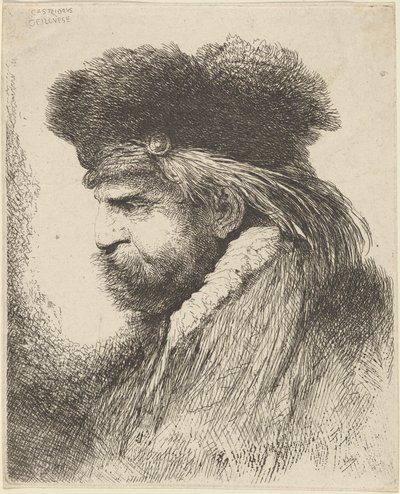 Bärtiger Mann mit Pelzmütze, nach links blickend von Giovanni Benedetto Castiglione