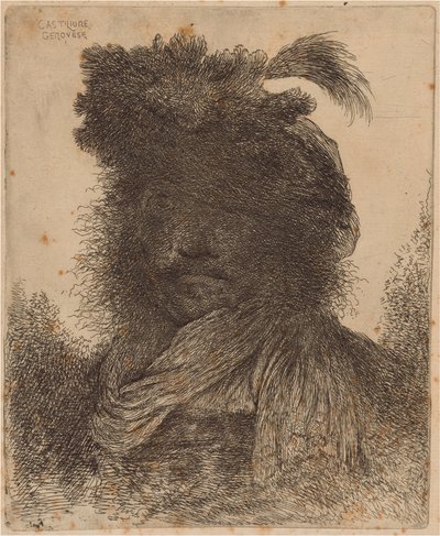 Bärtiger Mann mit schattiertem Gesicht, einen Schal und einen Federhut tragend von Giovanni Benedetto Castiglione