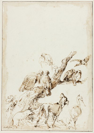 Vögel und Tiere um einen toten Baum von Giovanni Benedetto Castiglione