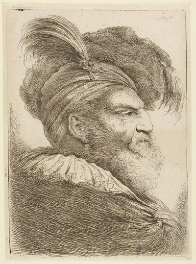 Kopf eines bärtigen Mannes mit Federhut von Giovanni Benedetto Castiglione