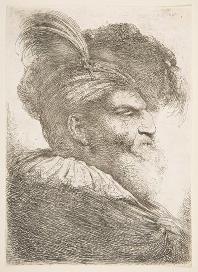 Kopf eines alten Mannes nach rechts, aus der Serie der großen orientalischen Köpfe, ca. 1645-1650 von Giovanni Benedetto Castiglione
