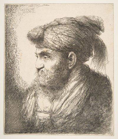 Mann mit Turban nach links gewandt, aus der Serie Große orientalische Köpfe, ca. 1645-50 von Giovanni Benedetto Castiglione