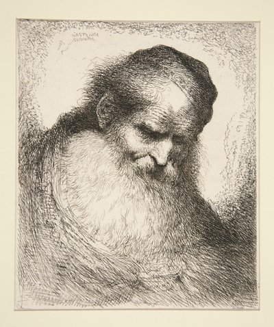 Alter Mann mit Bart, von vorne gesehen (aus der Serie Große orientalische Köpfe) von Giovanni Benedetto Castiglione
