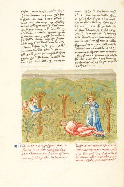 Dekameron, Der Salbeizweig - Tod von Pasquino, Vierter Tag, Novelle 7 von Giovanni Boccaccio
