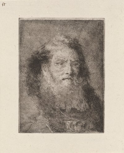 Alter Mann mit kahlem Kopf, aus der Sammlung von Köpfen von Giovanni Domenico Tiepolo