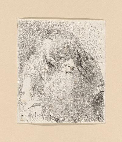 Alter Mann mit Bart und langen Haaren, aus der Raccolta di Teste (Sammlung von Köpfen) von Giovanni Domenico Tiepolo