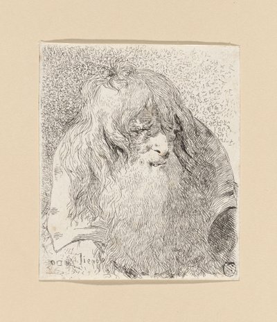 Alter Mann mit Bart und langem Haar, aus der Sammlung von Köpfen von Giovanni Domenico Tiepolo