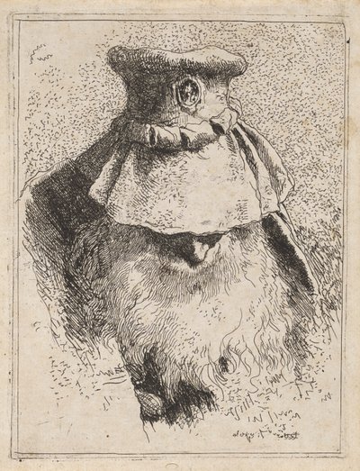 Alter Mann mit großem Hut, aus der Sammlung von Köpfen von Giovanni Domenico Tiepolo