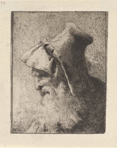 Profil eines älteren Mannes mit Bart, aus der Raccolta di Teste (Sammlung von Köpfen) von Giovanni Domenico Tiepolo