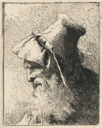 Profil eines alten Mannes mit Bart von Giovanni Domenico Tiepolo