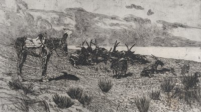 Esel und Ziegen an einem Winterstrand von Giovanni Fattori